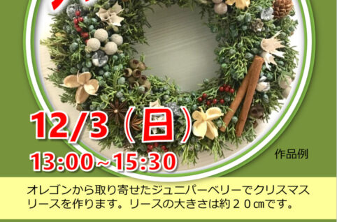 ジュニパーベリーで作るクリスマスリースのサムネイル