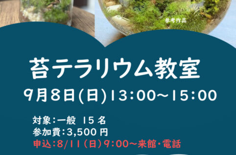9.苔テラリウム教室のサムネイル