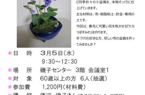 すみれの盆栽　チラシのサムネイル