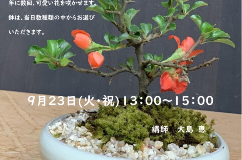 0923.盆栽教室のサムネイル