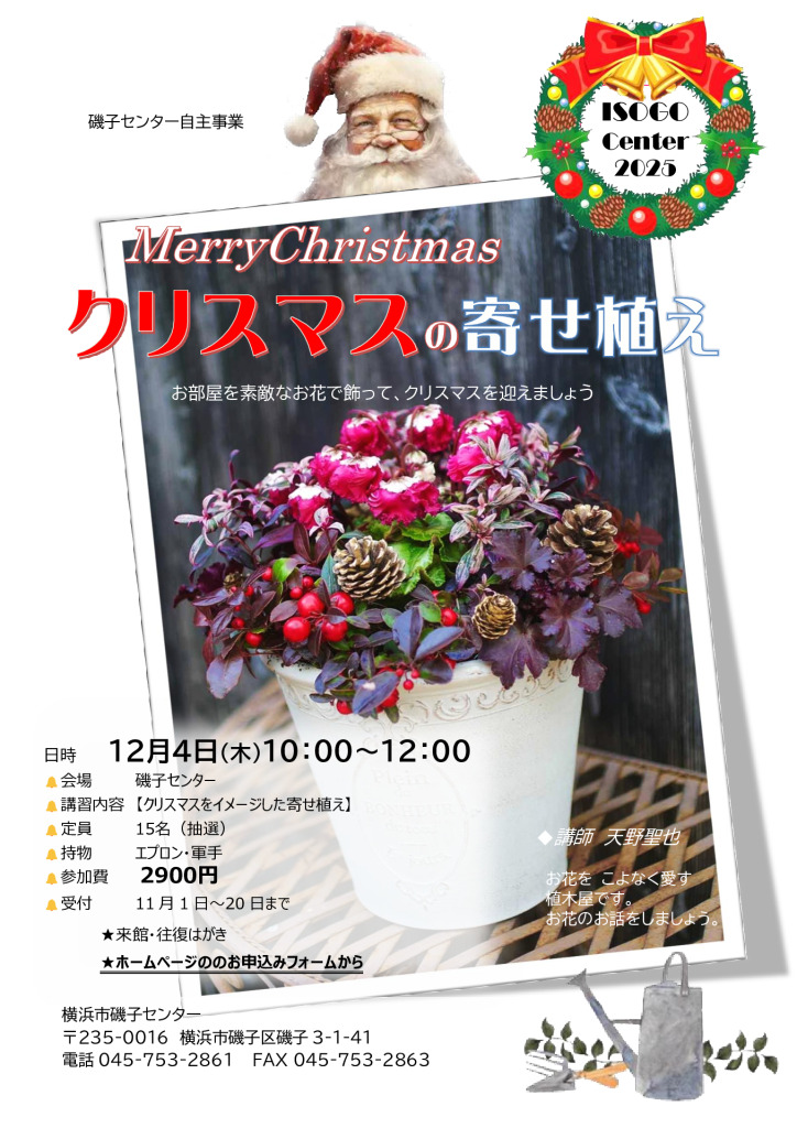 クリスマスの寄せ植え2025のサムネイル