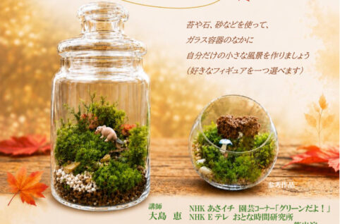 1004.苔テラリウム体験のサムネイル